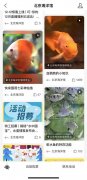 北斗授时引领时代,SMV和GOOSE融合创新